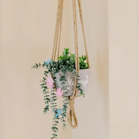 アパート Casa Gemma コス・タウン